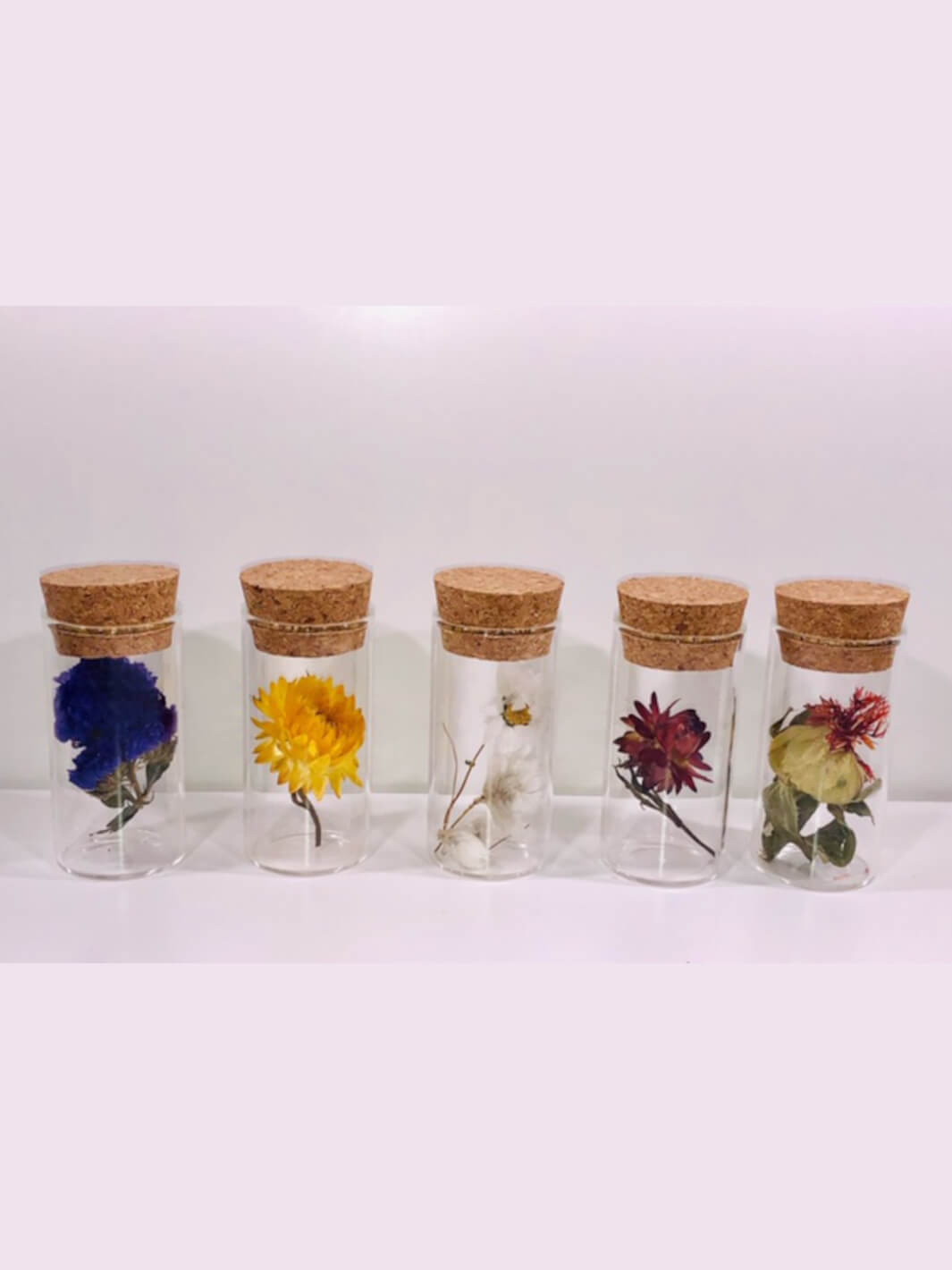 Muno Glasröhren mit Trockenblumen