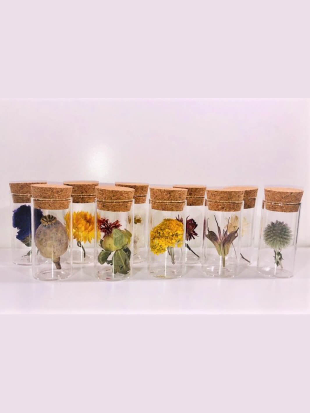 Trockenblumen in Glas