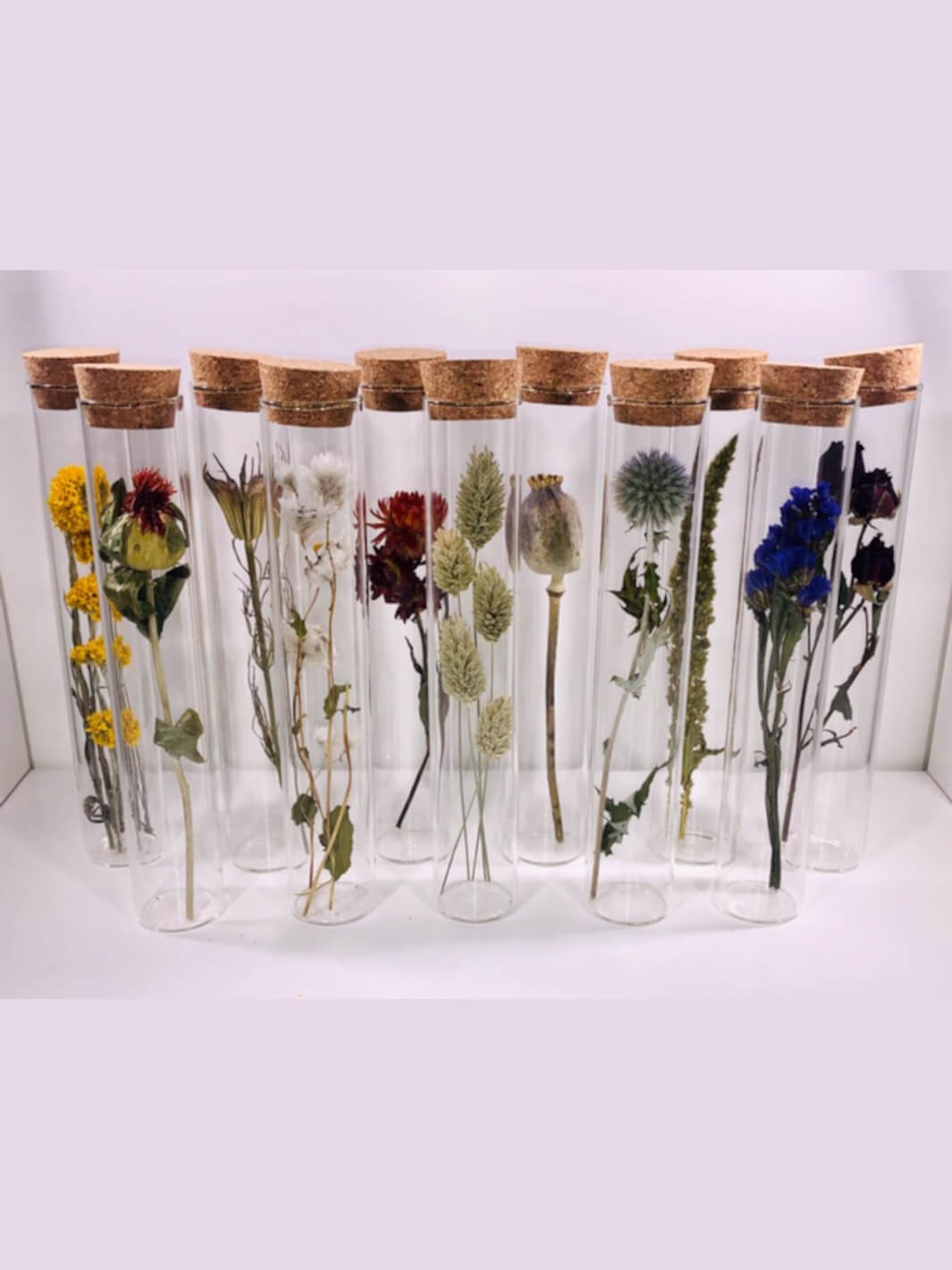 Trockenblumen in Glasröhren von Muno